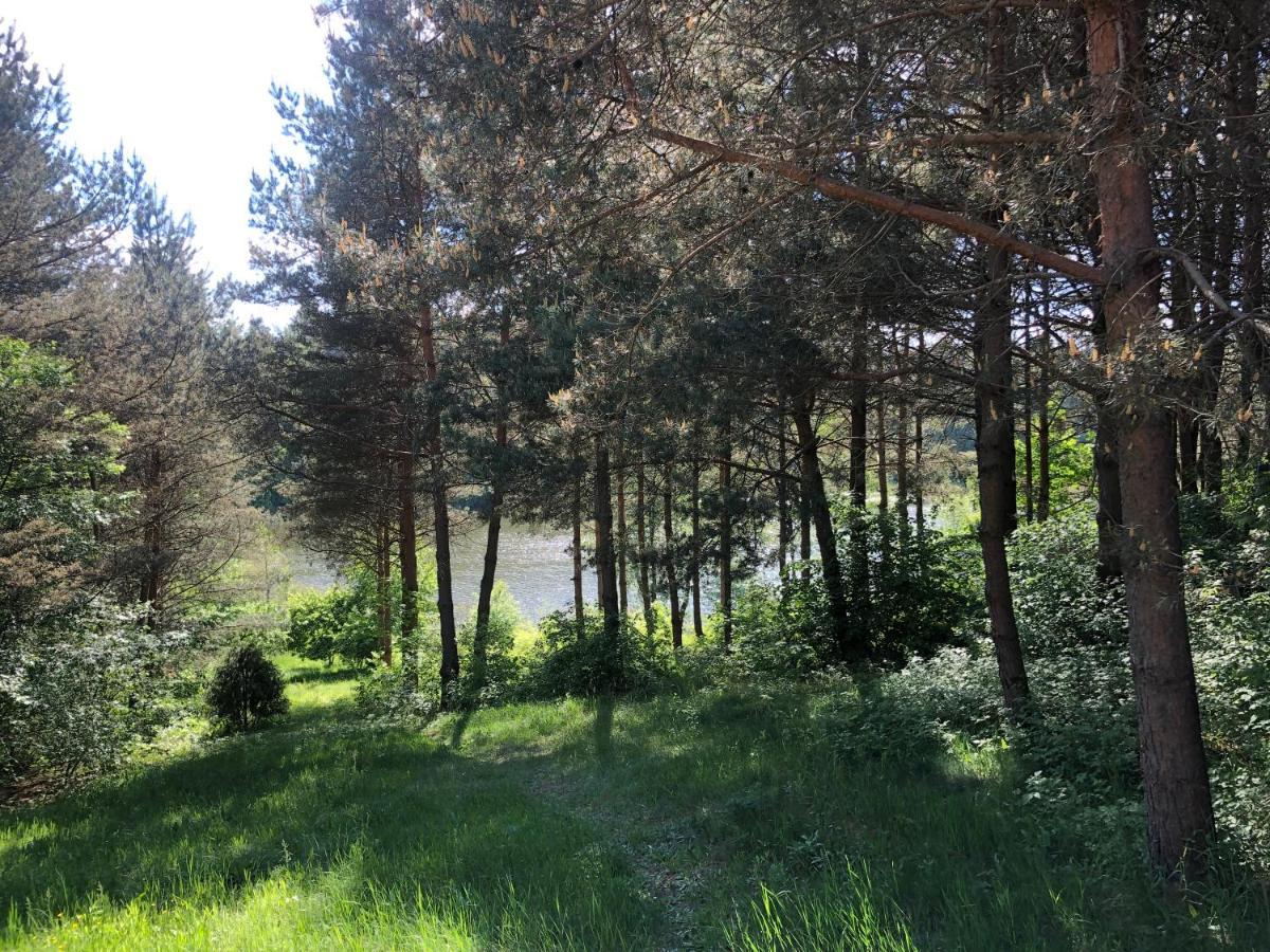 Za Piecem Villa Guzowy Piec Buitenkant foto