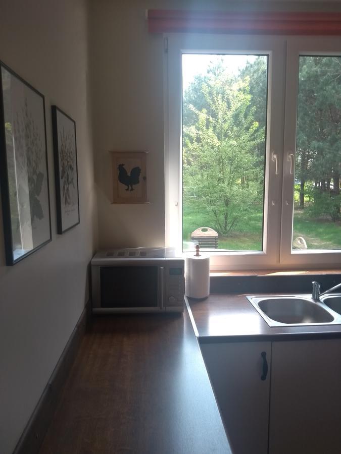 Za Piecem Villa Guzowy Piec Buitenkant foto